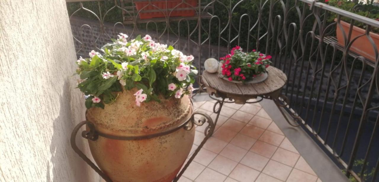 B&B La Giara Nicolosi Exteriér fotografie
